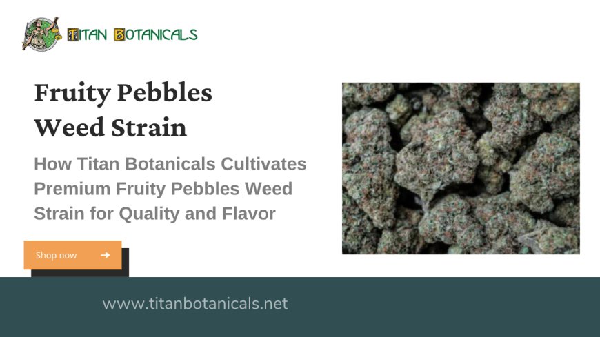 How Titan Botanicals Cultivates Premium Fruity Pebbles Weed Strain for Quality and Flavor