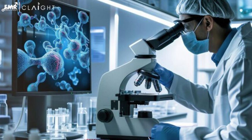 Global Precision Oncology Market Size & Share | Forecasts, Report - 2034