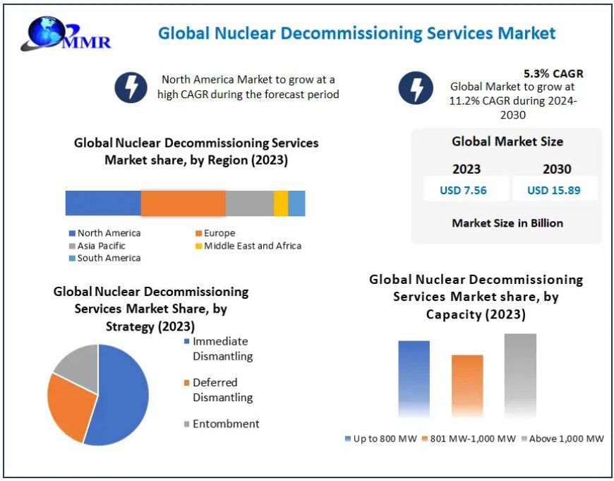 Global Nuclear Decommissioning Services Industry Challenges and Trends by 2030