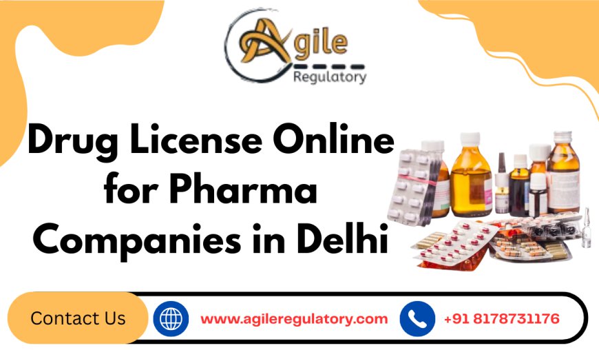 Drug License Online for Pharma Companies in Delhi