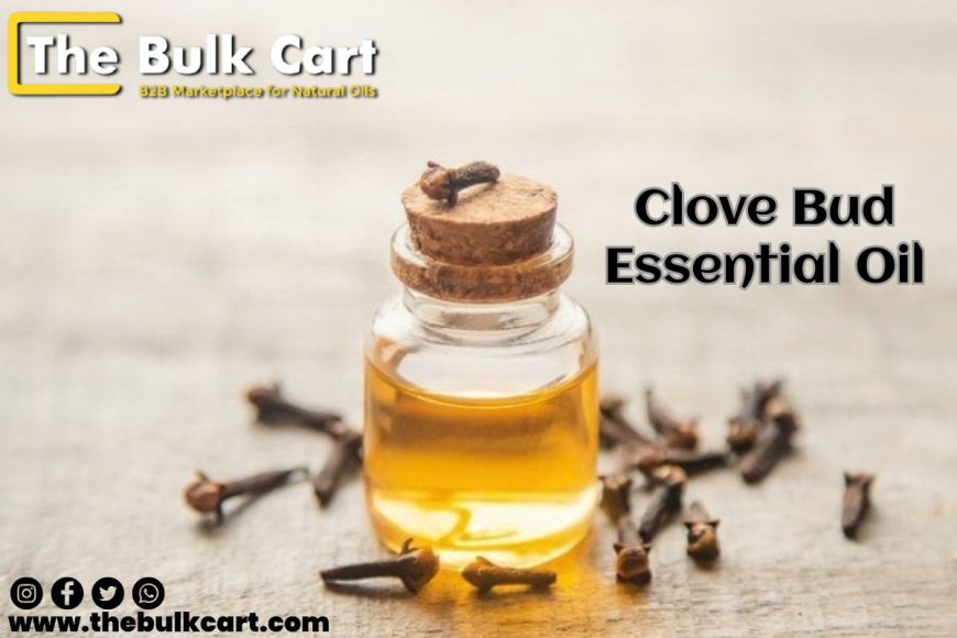 Everything You Need to Know About Clove Bud Essential Oil