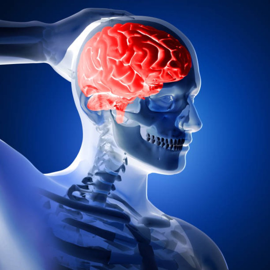 Understanding Brain Tumors: Symptoms, Diagnosis, and Treatment Options