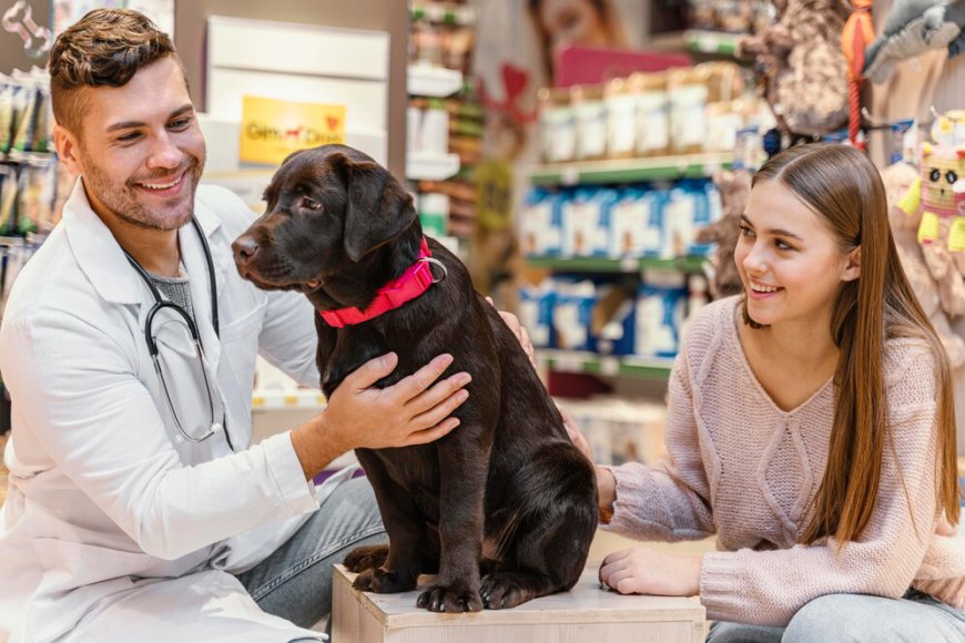 The Growing Demand for Pet Insurance Market: Trends and Insights for 2033