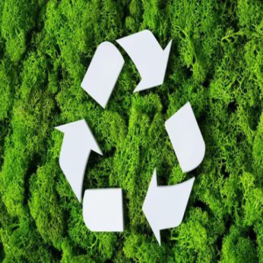 Nutrient Recycling Market Will Grow at Highest Pace owing to Increased Focus on Waste Management