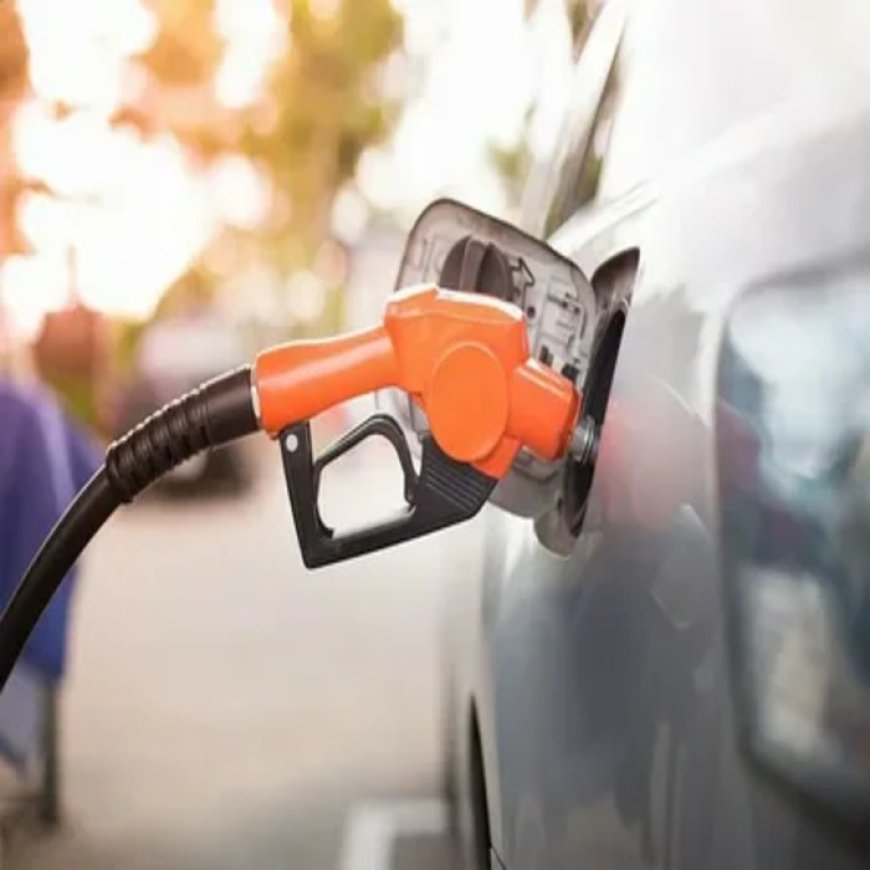 Emerging Flexfuel car Ownership to Boost the U.S. Environmental Sustainability Efforts