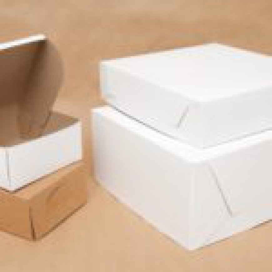 The Advantages of Compostable Bakery Boxes Over Reusable Containers