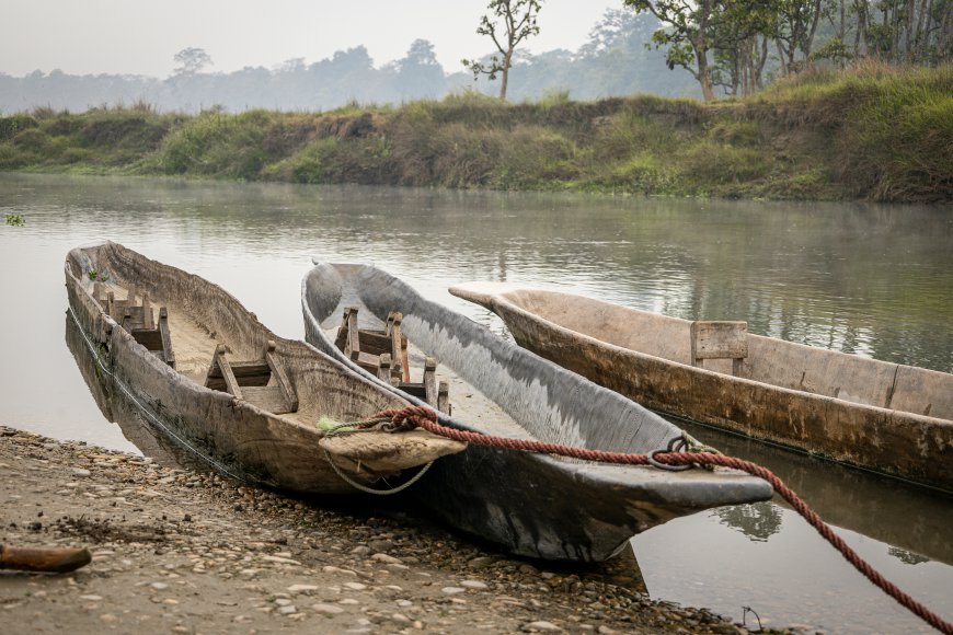 Discover the Wonders of Chitwan National Park