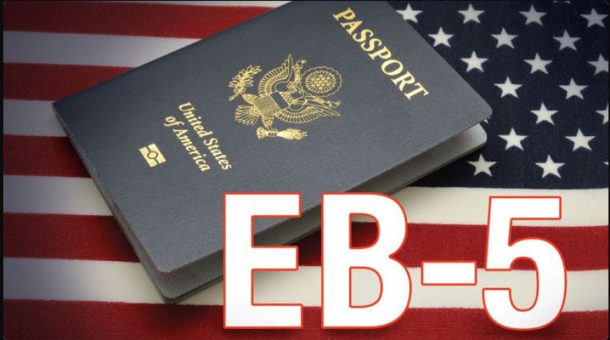 Top Tips for Choosing the Best EB-5 Attorneys and Consultants in India