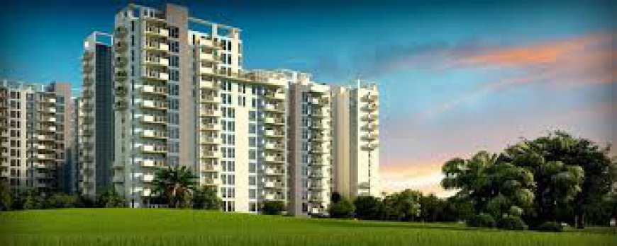 Birla Estate Sector 31 Gurgaon