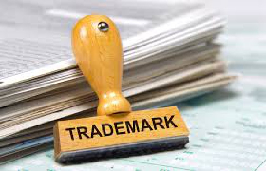 A Comprehensive Overview of the Trademark Registration Process in India