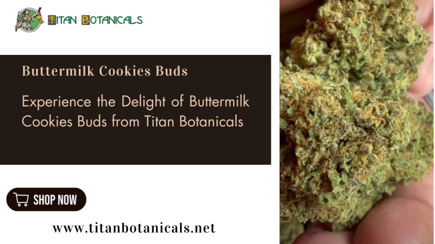 Experience the Delight of Buttermilk Cookies Buds from Titan Botanicals