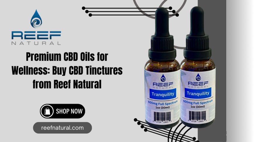 Buy CBD Tinctures Online | Premium CBD Oils by Reef Natural