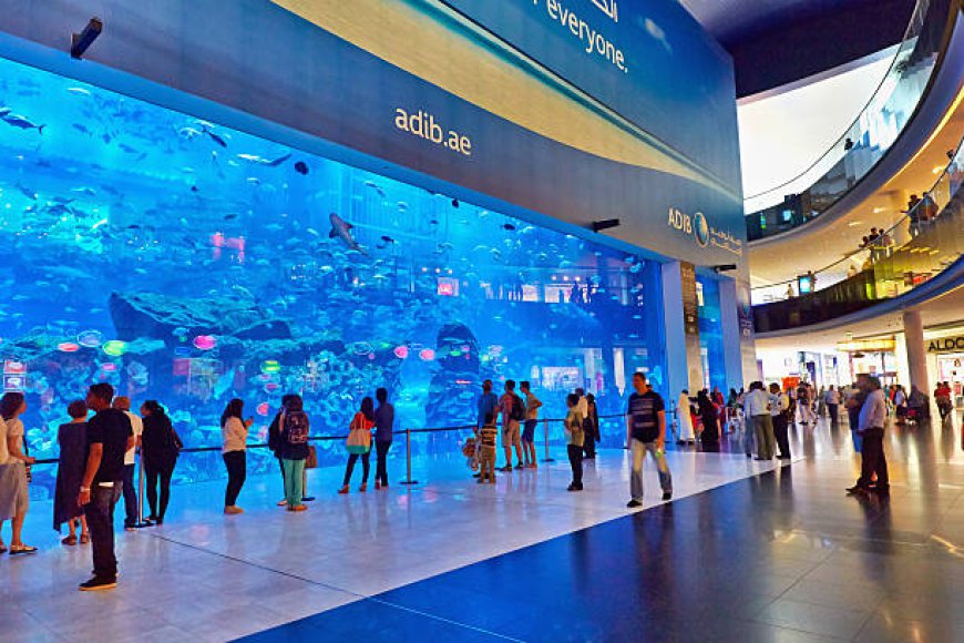 Top 8 Must-Visit Family-Friendly Attractions in Dubai