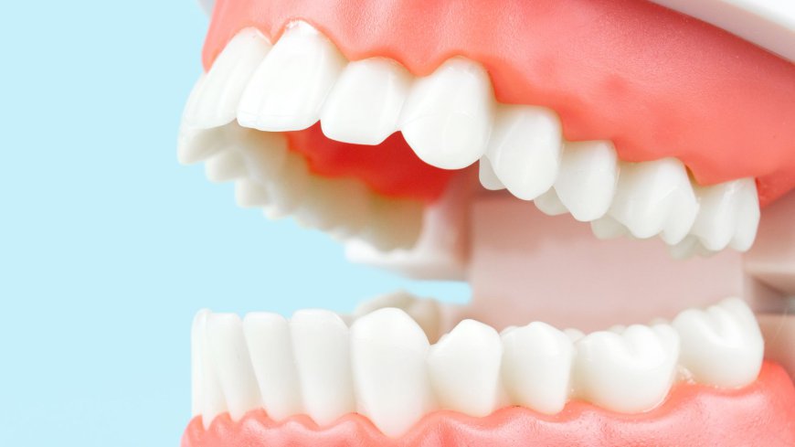 What Makes a Smile Truly Beautiful? Insights from a Cosmetic Dentist