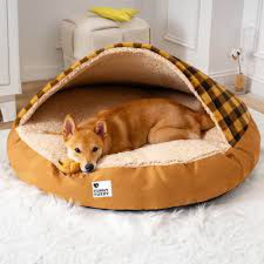 The Ultimate Guide to Choosing the Perfect Dog Bed for Your Furry Friend