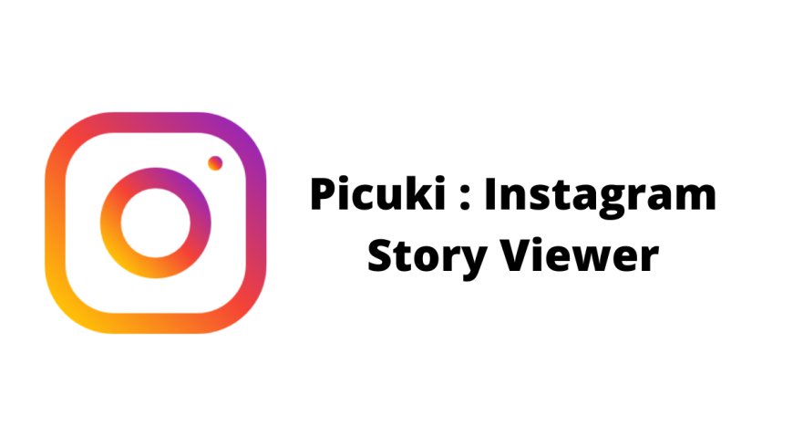 Why Picuki is the Best Instagram Viewer for Anonymous Browsing