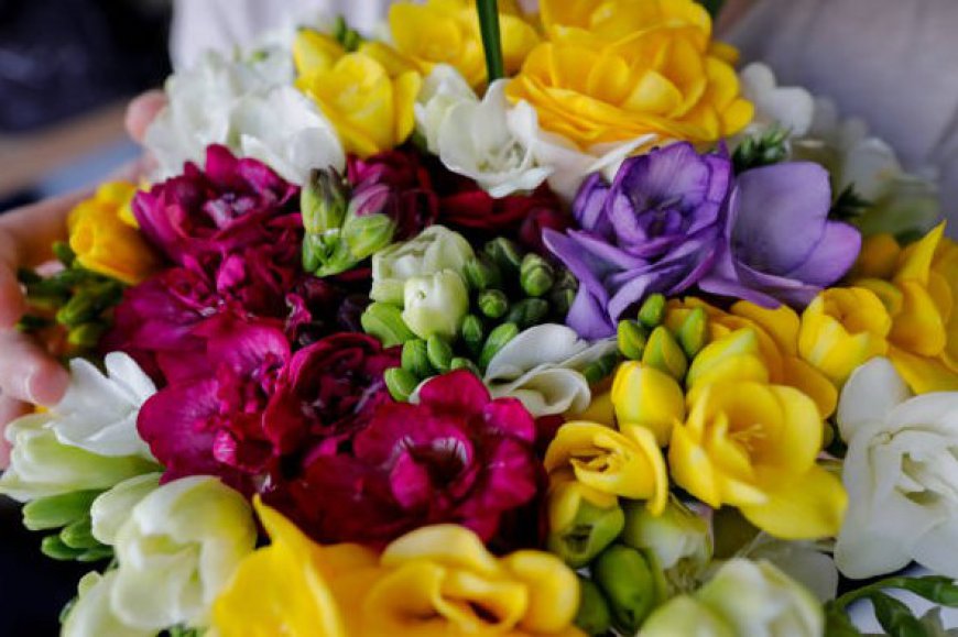 Flowers for Every Emotion: How to Select the Perfect Bouquet for Any Occasion