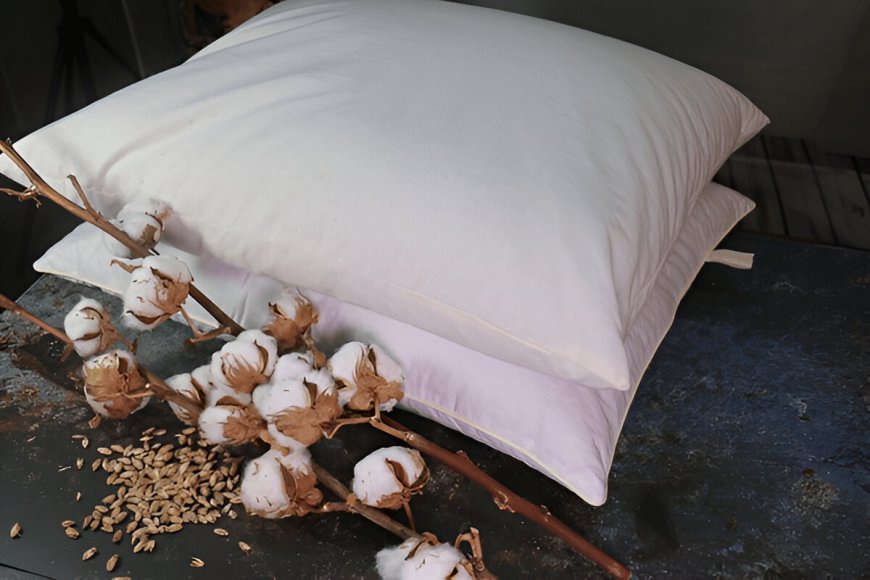 Organic Cotton Pillowcases