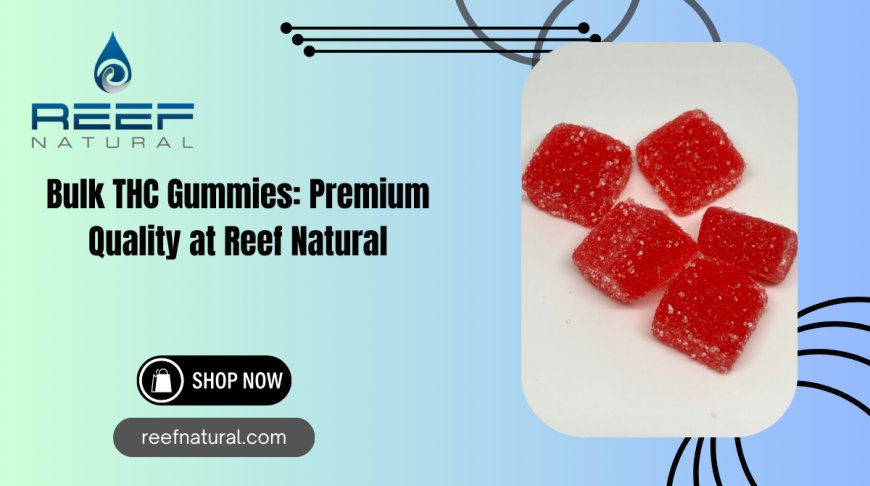 Premium Bulk THC Gummies | Reef Natural