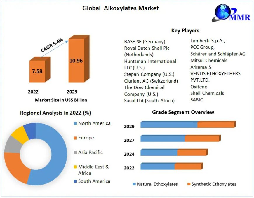 Alkoxylates Industry: Growth Projections and Market Trends by 2029