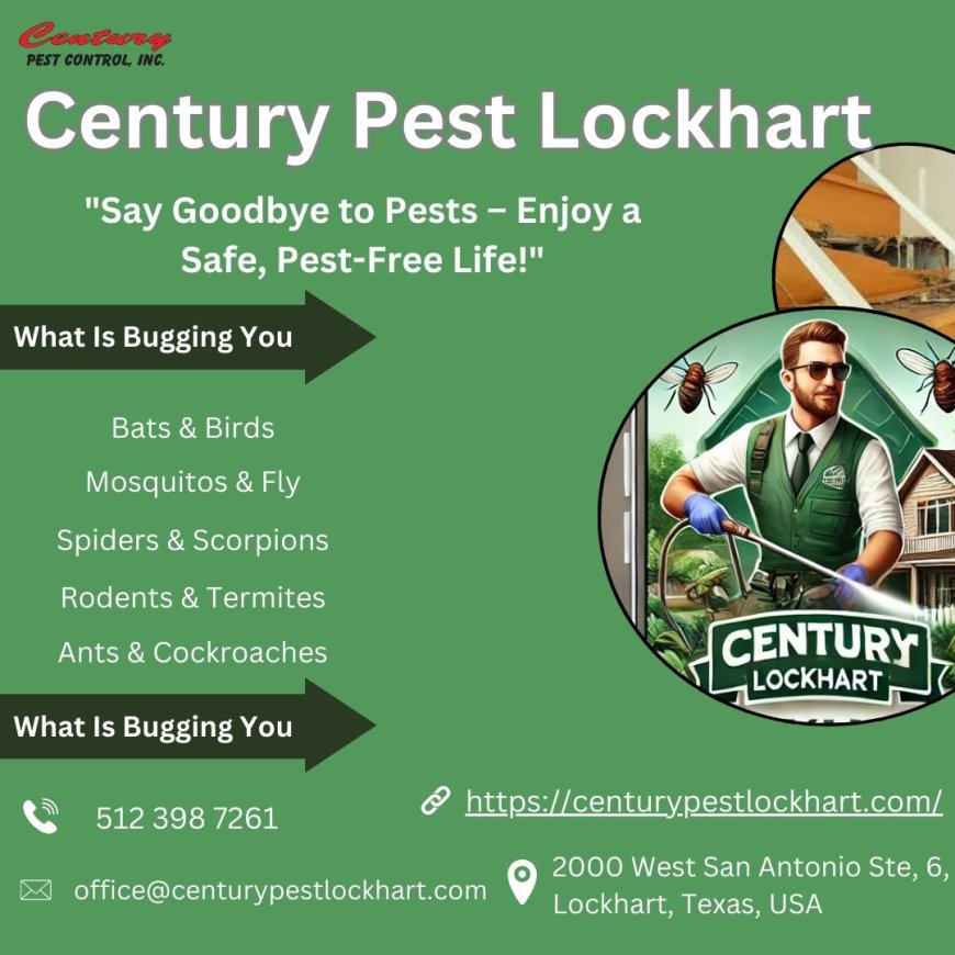 Comprehensive Guide to Commercial Pest Control in Lockhart