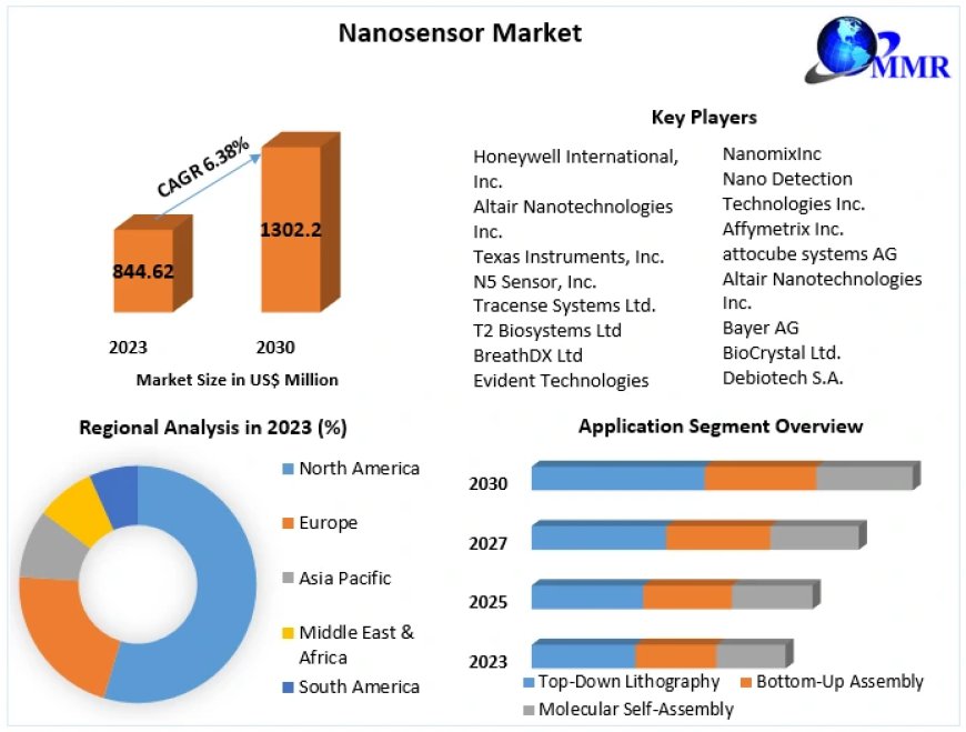 Nanosensor Market Executive Summary, Segmentation, Review, Trends, Opportunities, Growth, Demand and Forecast to 2030