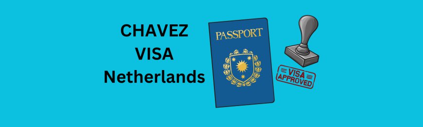 Common Mistakes to Avoid When Applying for the Chavez Visa