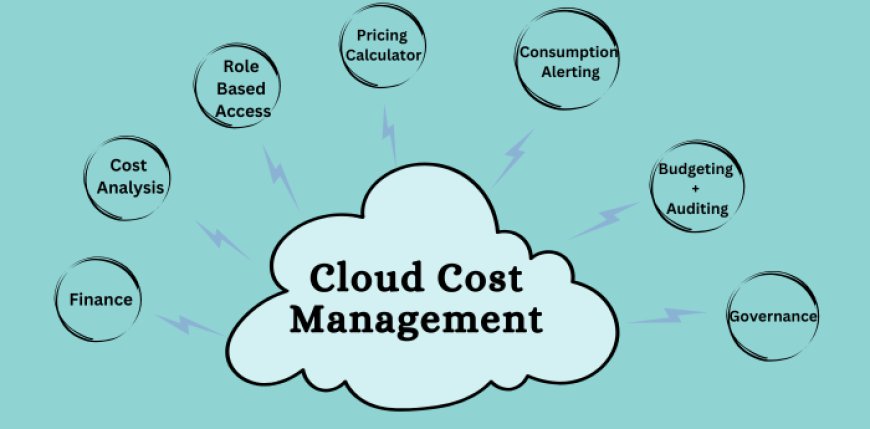 What is Cloud Cost Management and Optimization?