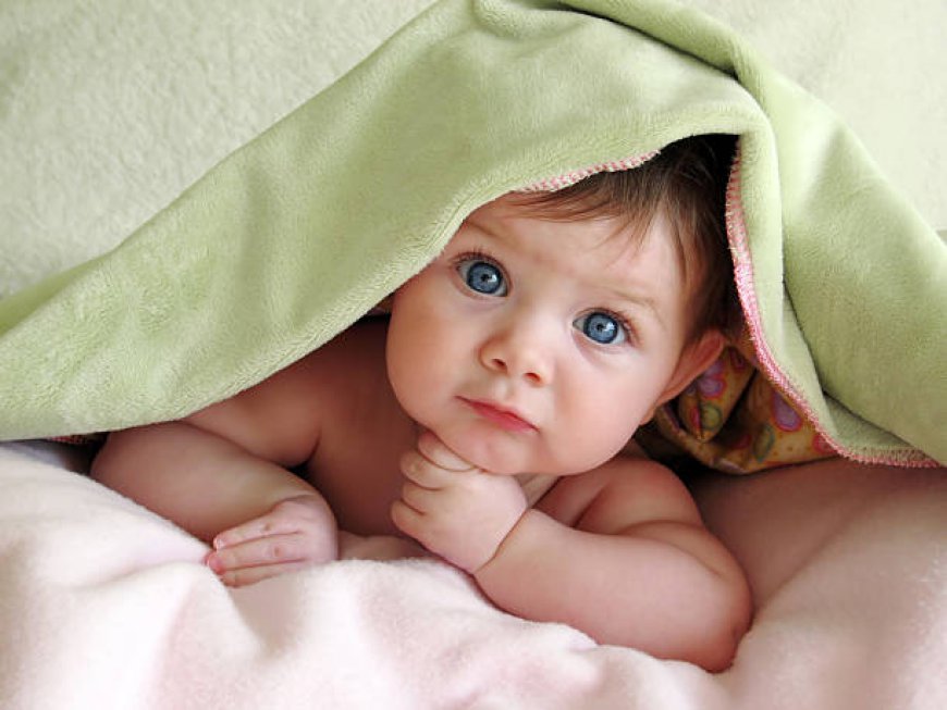 The Cozy Comfort of Minky Blankets: Perfect for All Ages