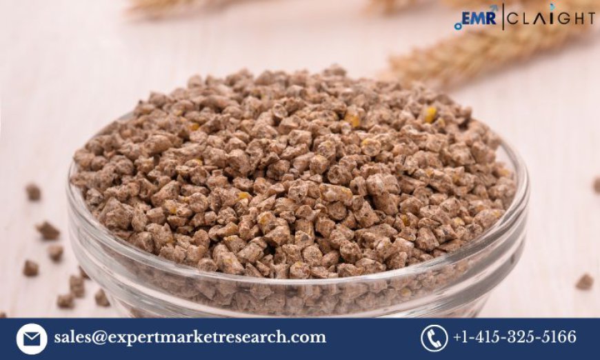 Feed Enzymes Market: Trends, Growth, and Forecast 2025-2034