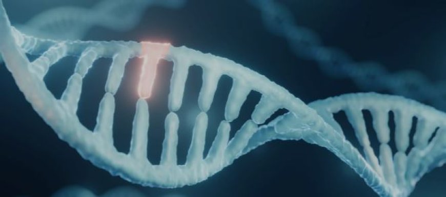 Genotyping Market Overview: Key Trends, Technologies, and Future Opportunities