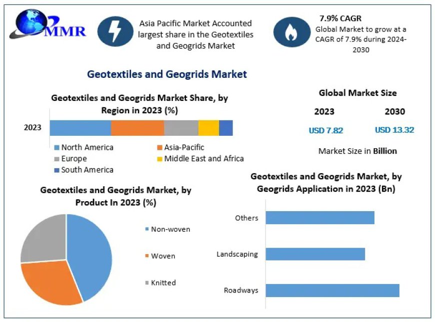 Geotextiles and Geogrids Market Expansion: Global Trends and Forecasts for 2030