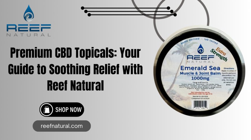 Premium CBD Topicals | Soothing Relief with Reef Natural