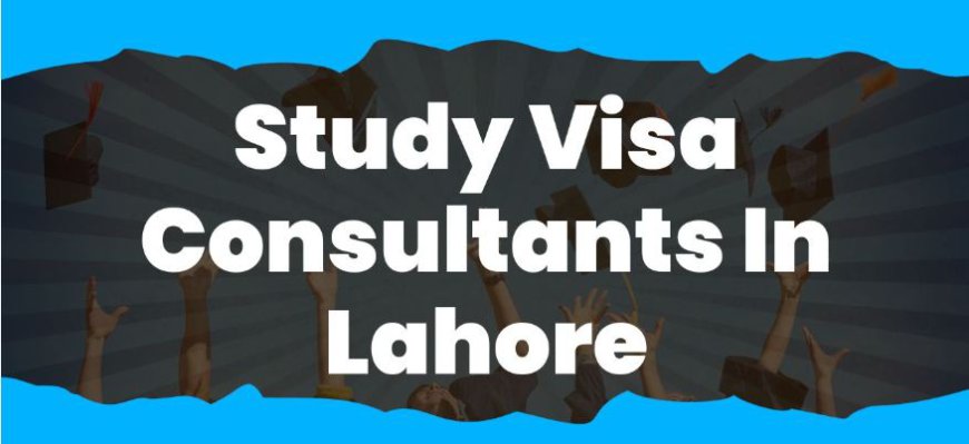 Don’t Rely on Internet; Reach Out The Best Visa Consultant in Lahore For Your Study Visa