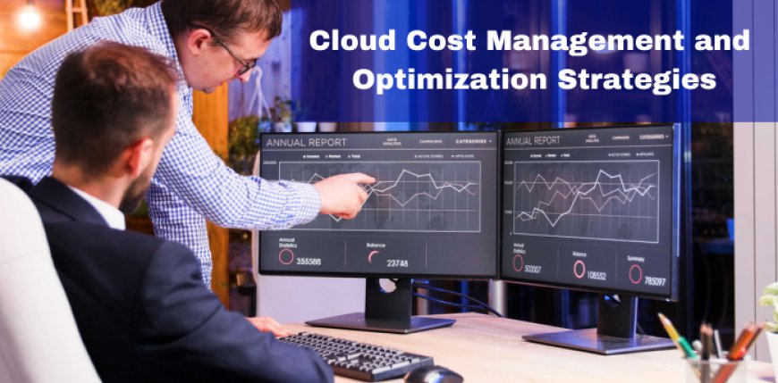 Cloud Cost Management and Optimization Strategies