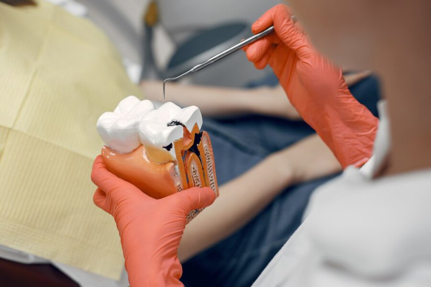 The Future of Dentistry: Trends and Opportunities in the Tooth Regeneration Market