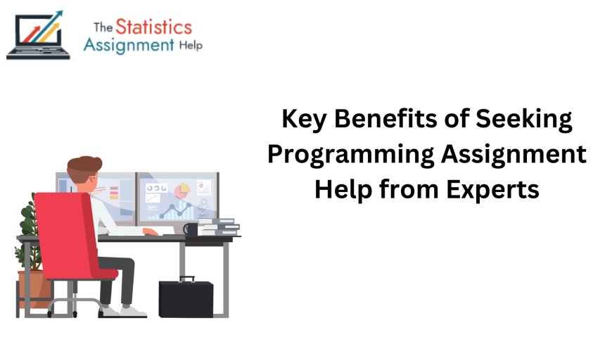 Key Benefits of Seeking Programming Assignment Help from Experts