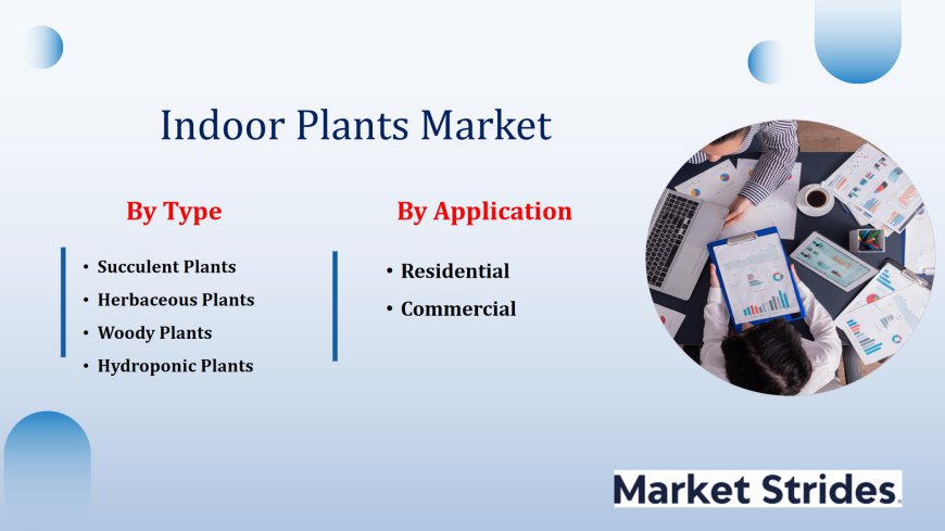 Indoor Plants Market Size, Share, and Forecast: Industry Outlook 2025-2033