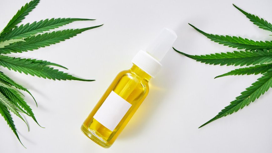 The CBD Oil Market: Opportunities and Challenges for Healthcare Providers