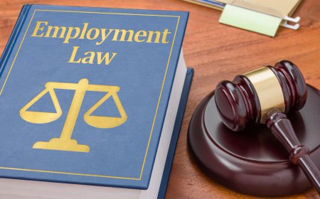 Tips to Select an Employment Lawyer in Toronto