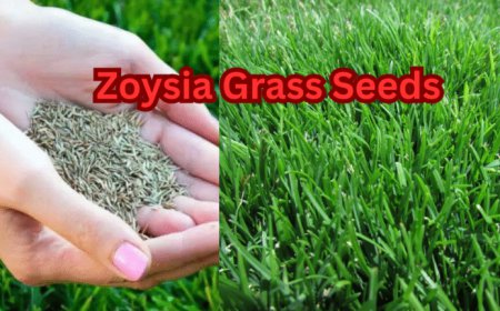 Top Grass Cutting Machine – Types, Prices, Uses & Buying Guide