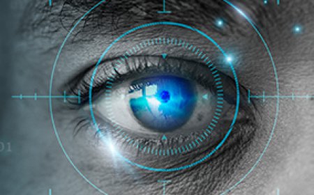 Empowering Landlords and Renters with a Purpose-Driven Property Management Platform