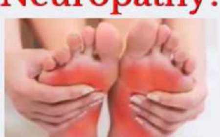 Discover Relief and Wellness at Your Trusted Fenton Chiropractor