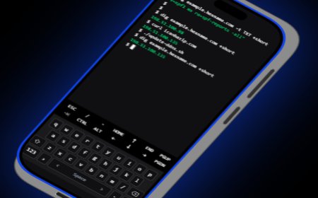 All-in-One Premium Domain Registration with Free DNS and DynDNS