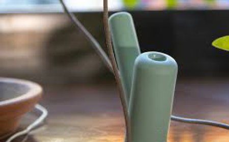 Stylish Weed Bong A Complete companion for Smooth, Elevated Sessions