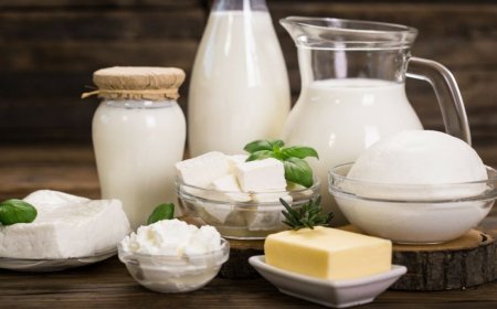 Dairy Industry in India Report and Market Analysis 2026-2034 | Get Sample Report
