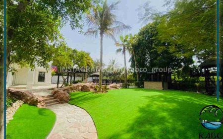 Dubai’s Professional Landscaping Company for Modern Outdoor Spaces