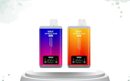 WGA Crystal Plus 20000 Box of 10 Bulk Buy UK