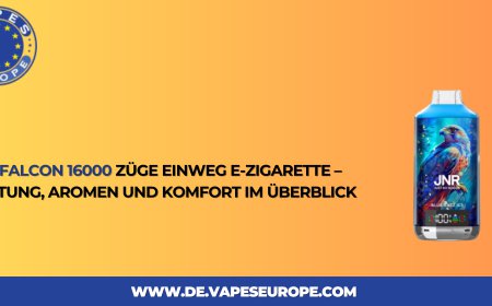 JNR Falcon 16000 Züge Einweg E-Zigarette – Leistung, Aromen und Komfort im Überblick