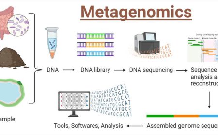France’s Growing Influence in the Metagenomics Space
